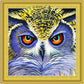 Diamond Painting - Lucky Owl