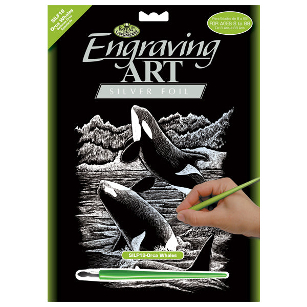Engraving Art - Orca Whales